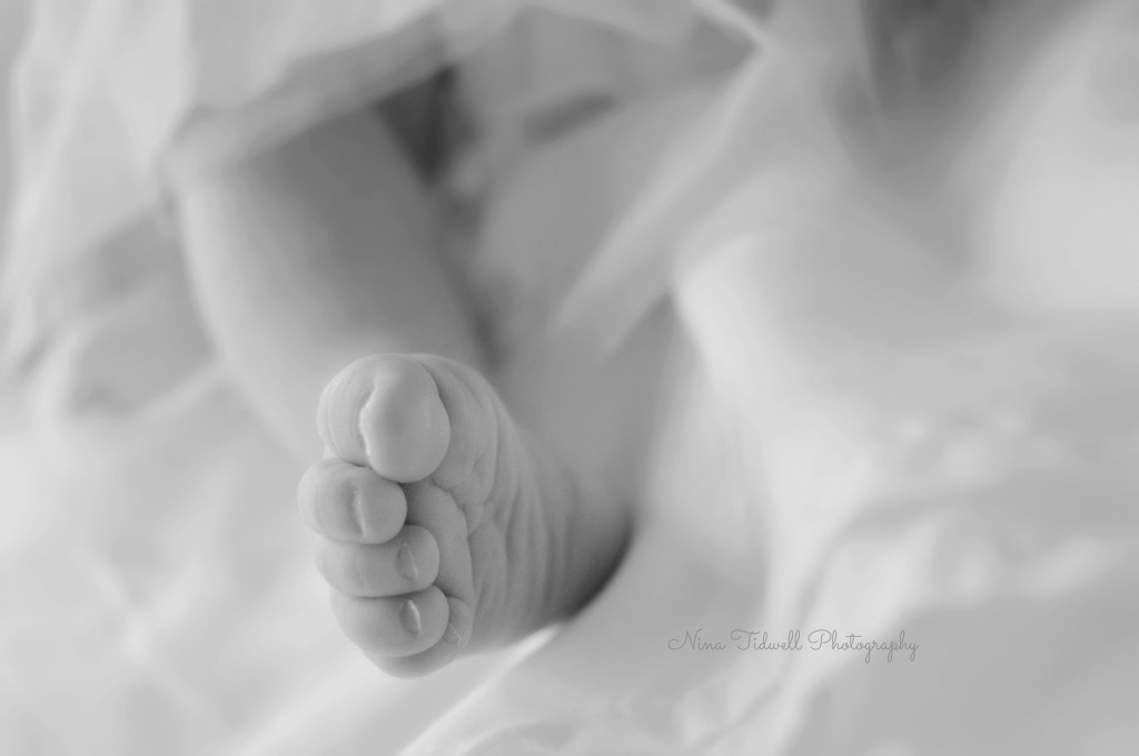 Newborn feet Nina Tidwell Photography Florida